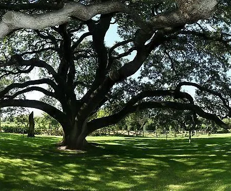 & Arzuaga (adults Only) 5* Quintanilla de Onesimo