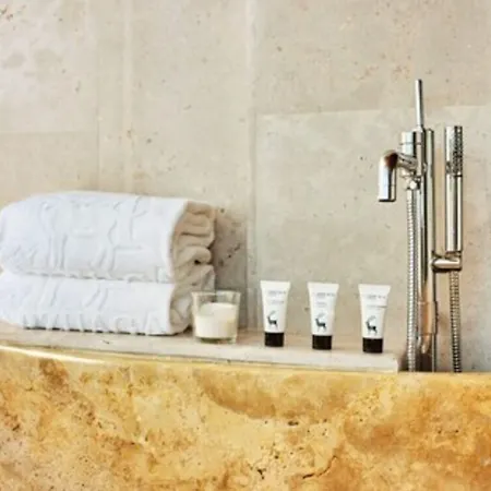 Hotel&spa Arzuaga Hotel 5*