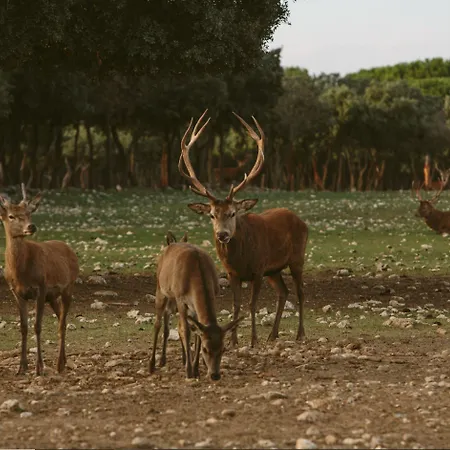 & Arzuaga (adults Only) 5* 킨타니야 데 오네시모