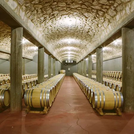 호텔 & Arzuaga (adults Only)