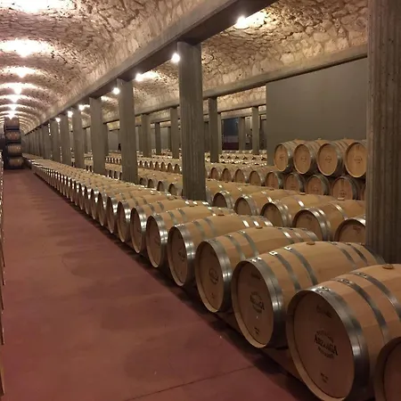 酒店 阿苏亚加酒店及水疗中心 Quintanilla de Onésimo