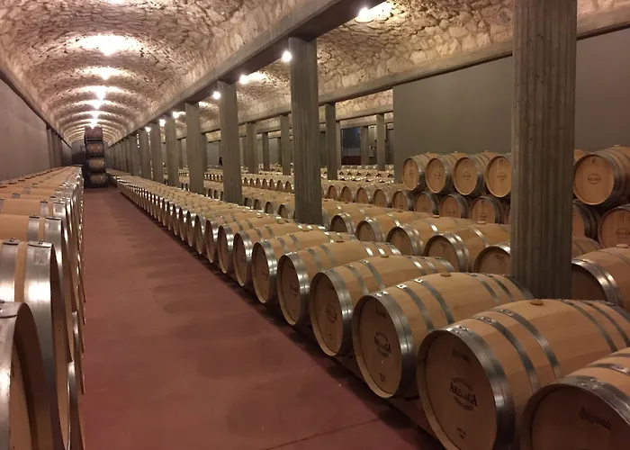 & Arzuaga (adults Only) 5* 킨타니야 데 오네시모