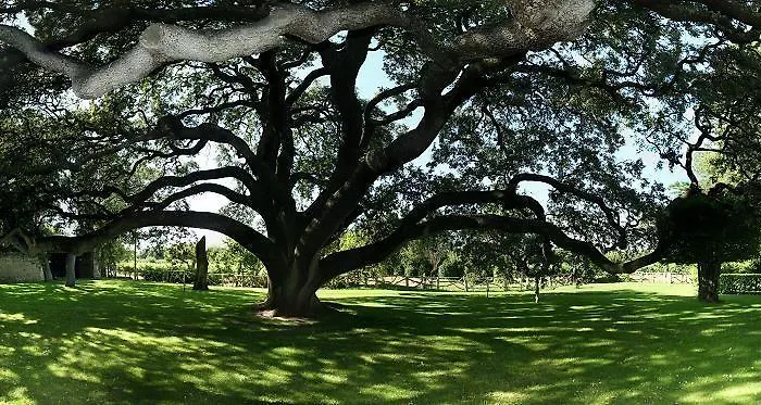 & Arzuaga (adults Only) 5* 킨타니야 데 오네시모