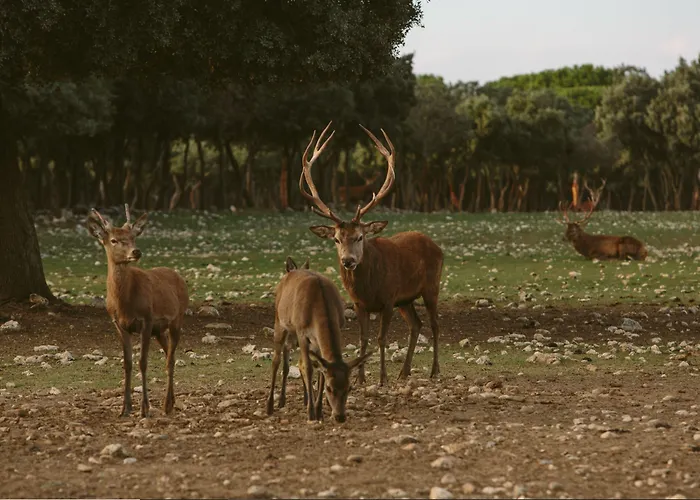 & Arzuaga (adults Only) 5* 킨타니야 데 오네시모