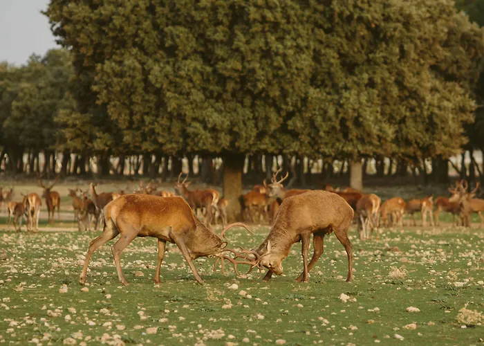 호텔 & Arzuaga (adults Only)