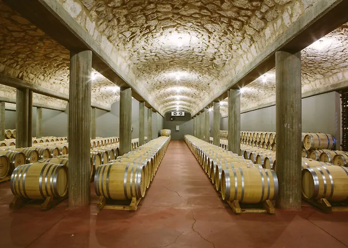 호텔 & Arzuaga (adults Only)