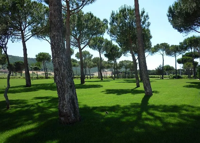 & Arzuaga (adults Only) 5* 킨타니야 데 오네시모